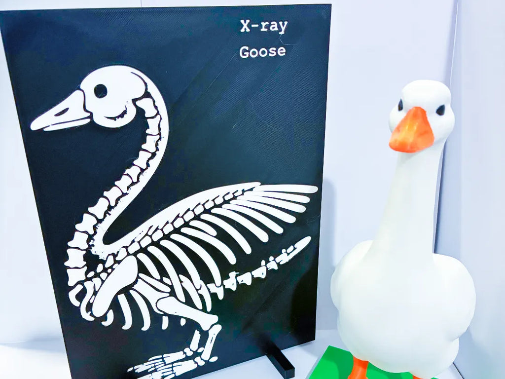 X-Ray - Accessory for 7" Desktop Mini Porch Goose