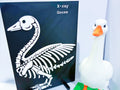 X-Ray - Accessory for 7" Desktop Mini Porch Goose