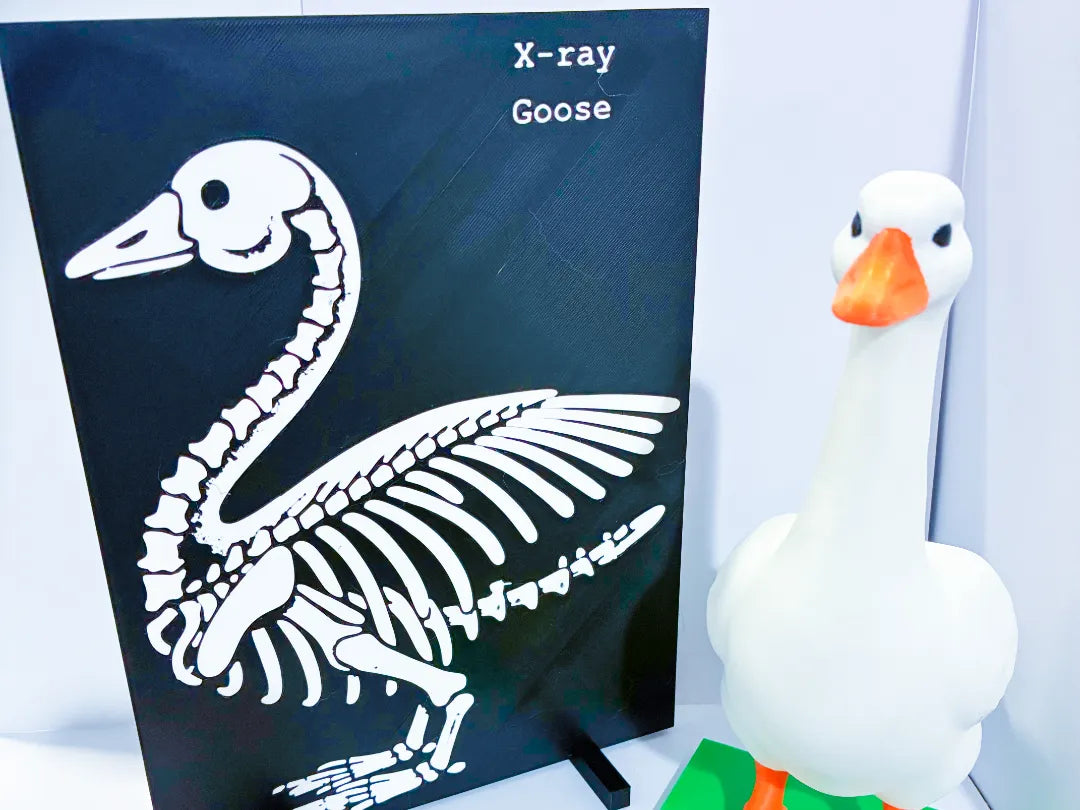 X-Ray - Accessory for 7" Desktop Mini Porch Goose