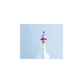Birthday Goose Hat