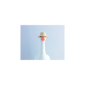 Camping Hat Goose Accessory