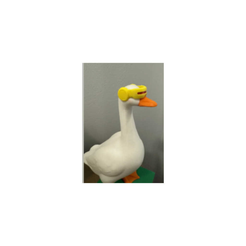 Cyclops Visor Goose Accessory