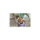 Football Can Opener Keychain