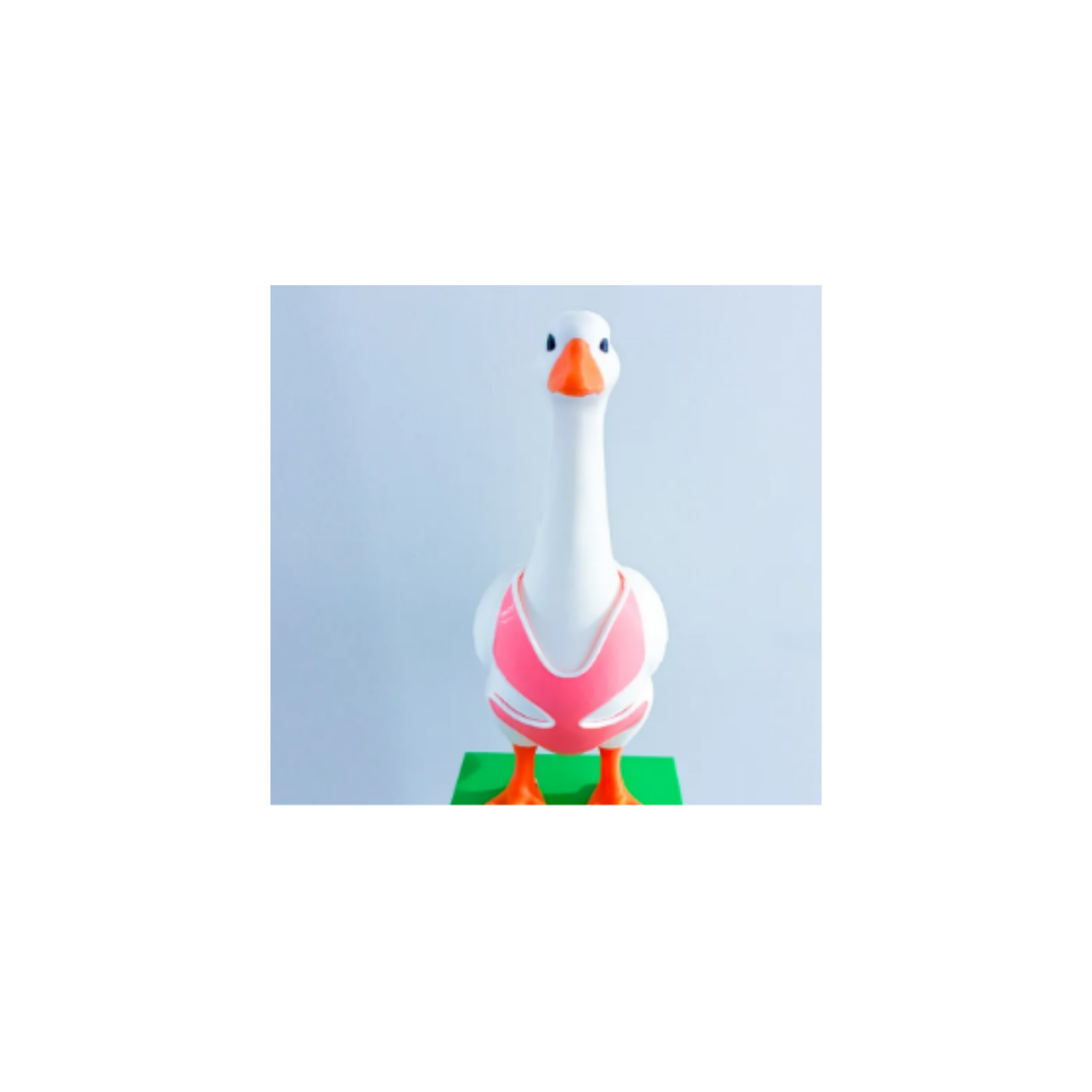 Bathing Suit Goose Accessory