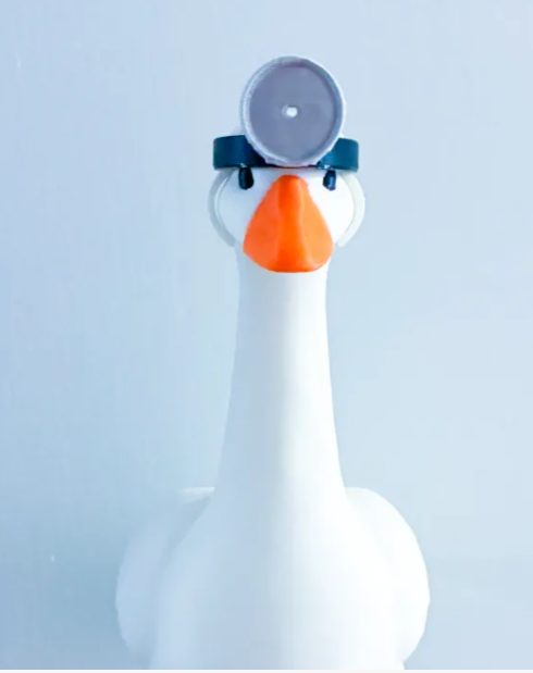 Doctor Mirror Hat - Accessory for 7" Desktop Mini Porch Goose