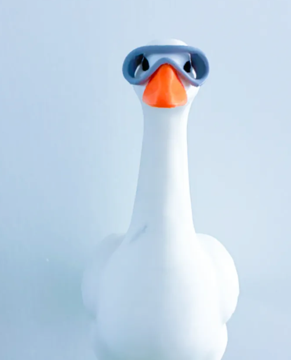 Lab Goggles - Accessory for 7" Desktop Mini Porch Goose