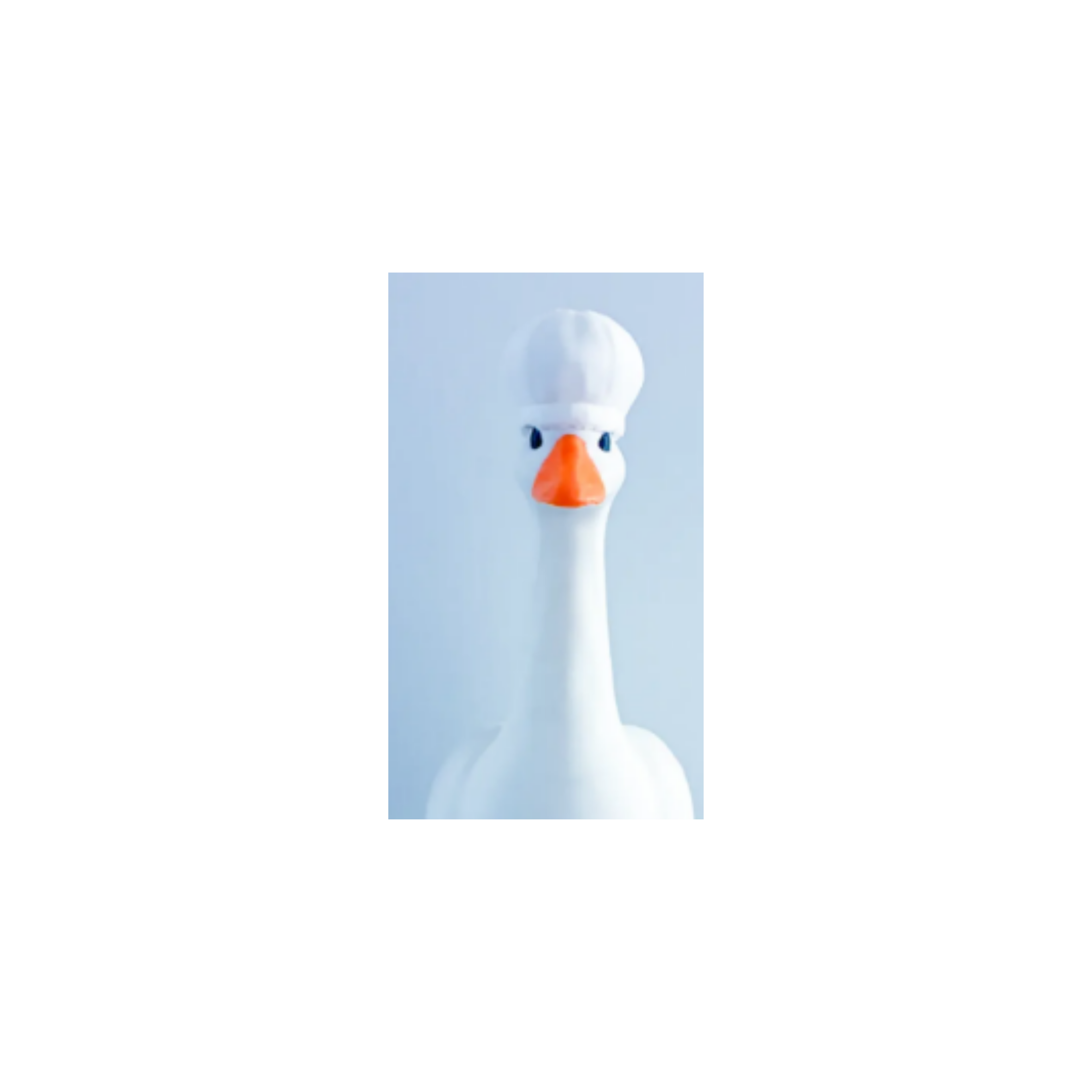 Shower Cap Desk Goose Accessory
