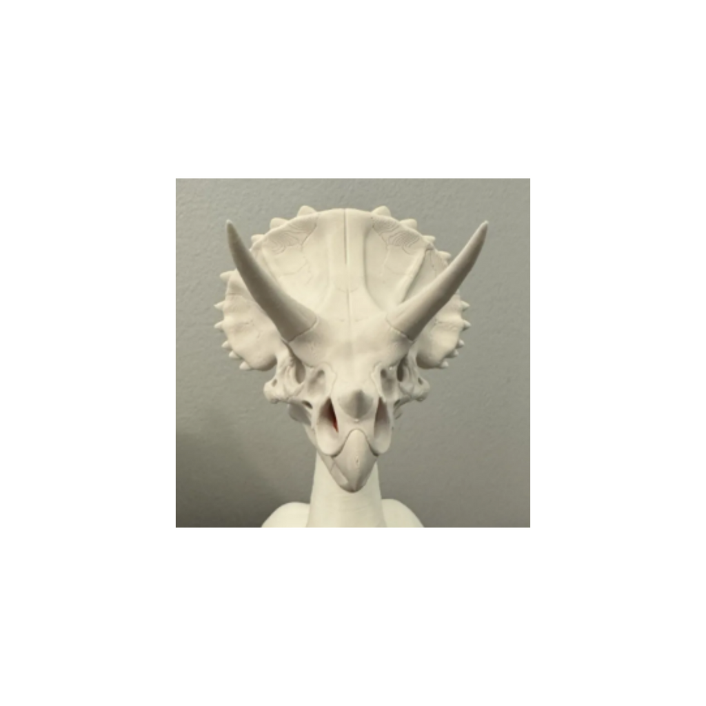Triceratops Skull - Accessory for 7" Desk/Tabletop Goose