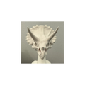 Triceratops Skull Desk Goose Accessory