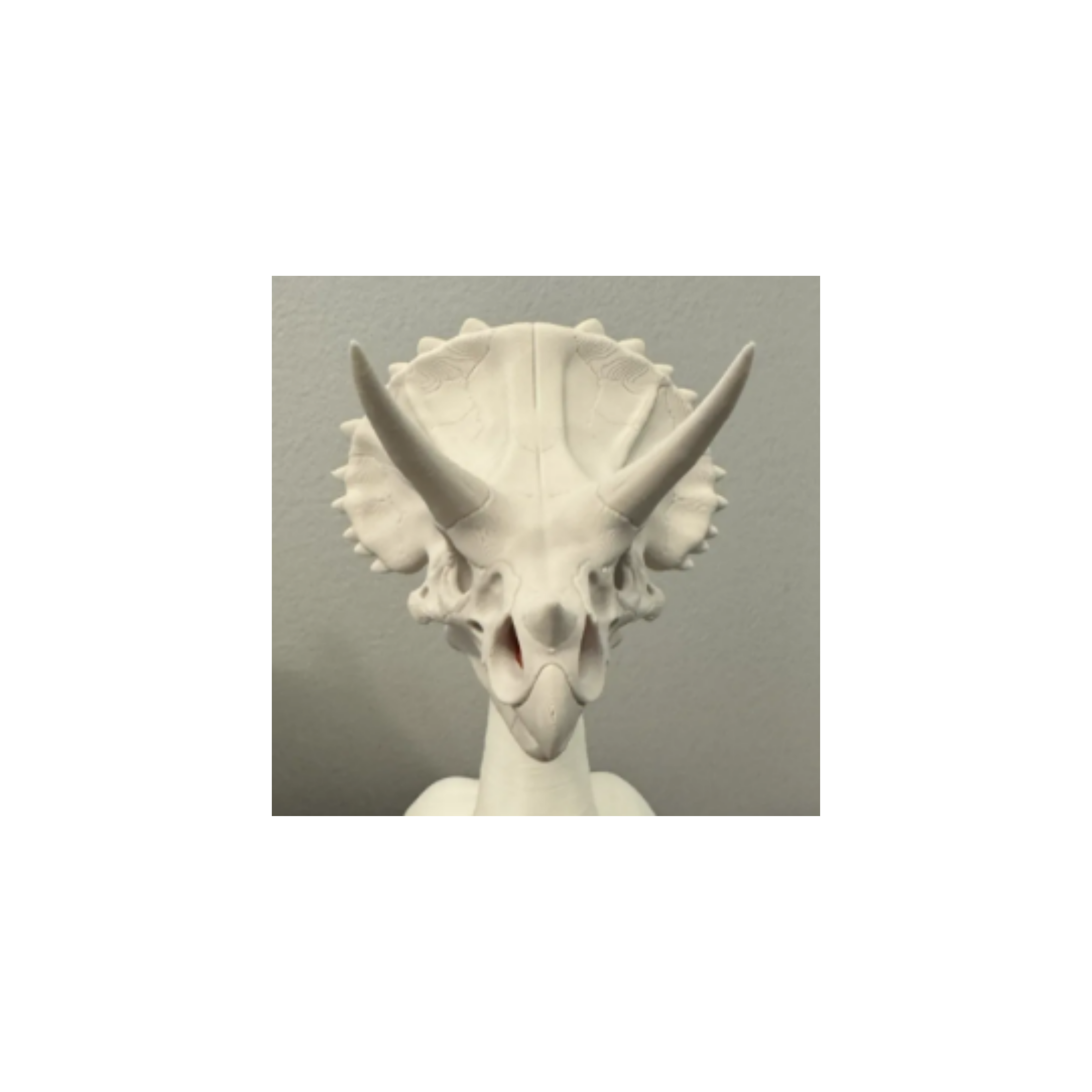 Triceratops Skull Desk Goose Accessory