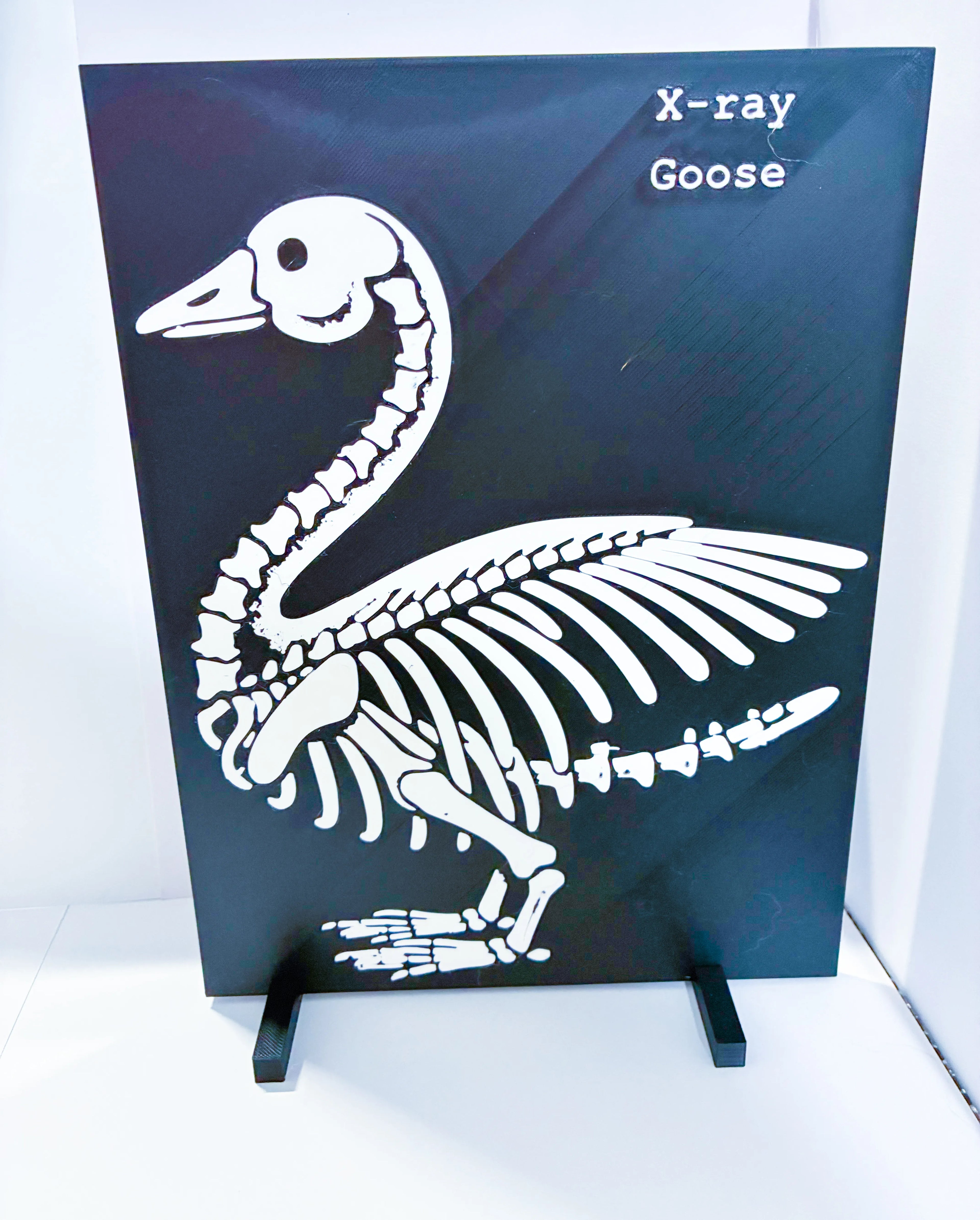 X-Ray - Accessory for 7" Desktop Mini Porch Goose